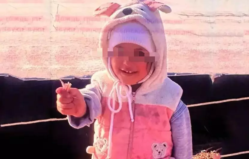 "Өсек үшін": Алматы облысында жоғалған 3 жасар қыздың анасы тұтқындалған