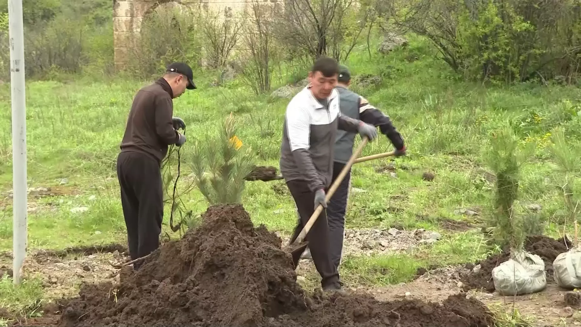 "Таза Казахстан": водные артерии очищают в Алматинской области