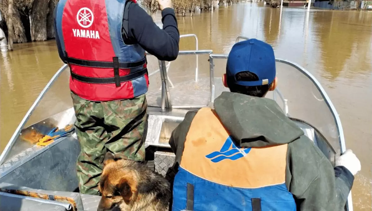 Свыше 50 тысяч человек вернулись в свои дома в Казахстане