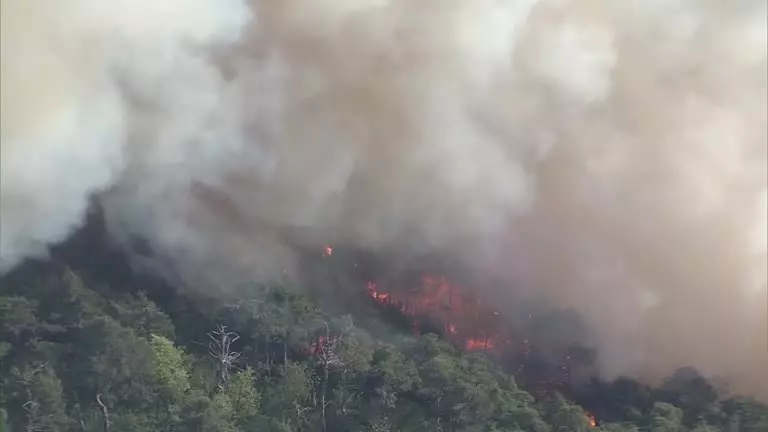 Лесные пожары охватили север Японии