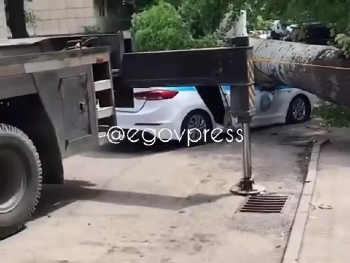 Огромное дерево придавило патрульное авто с участковыми в Алматы