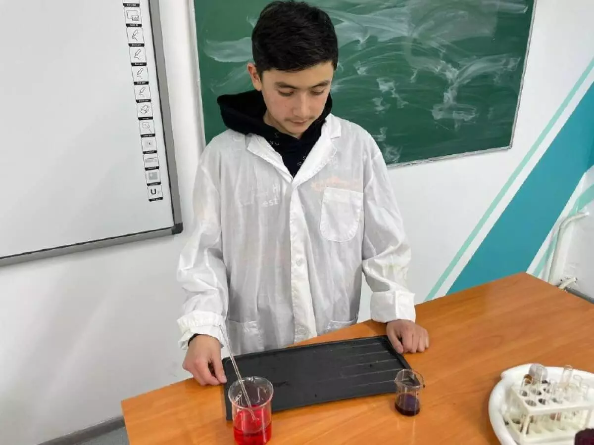 Казахстанский школьник нашел способ использовать сахарный тростник