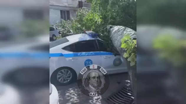 Дерево рухнуло на полицейскую машину в Алматы