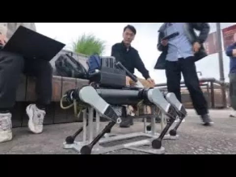 Қытайда мүгедек жандарға арналған робот-ит жасап шығарылды