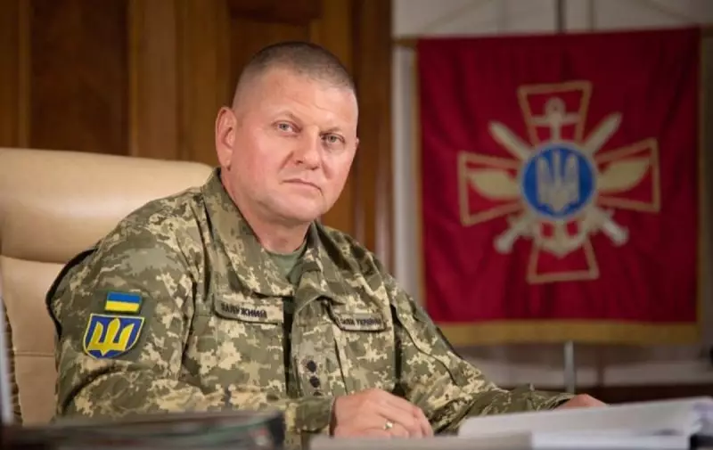Зеленский уволил экс-главкома ВСУ с военной службы: что известно