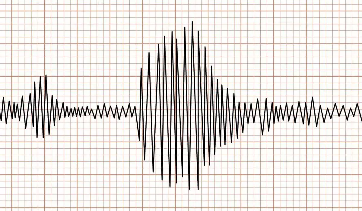 Магнитуда 4,6: землетрясение зарегистрировали сейсмологи Алматы