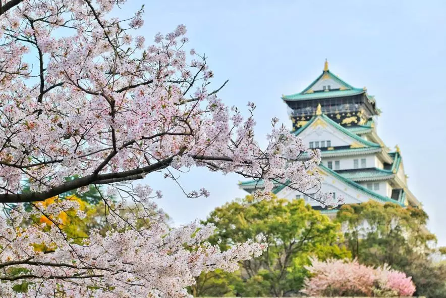 Девальвация иены привела к буму туризма в Японии