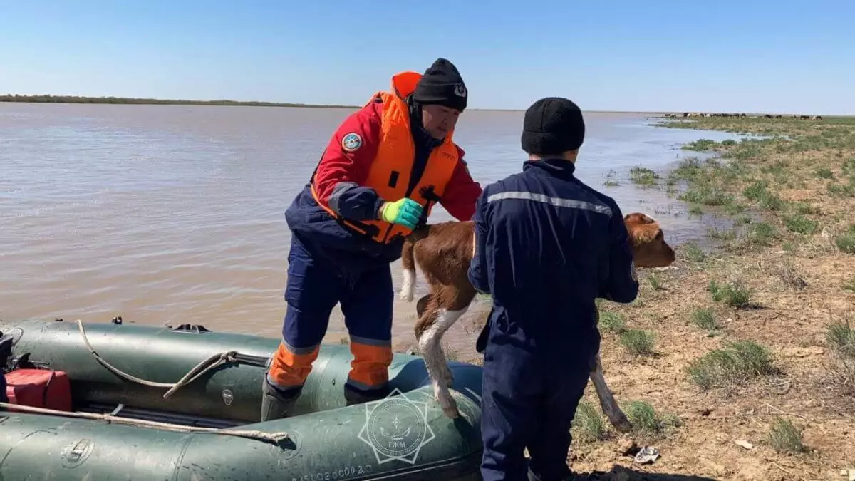 В Казахстане более 54 тыс. человек вернулись в свои дома после эвакуации из-за паводков