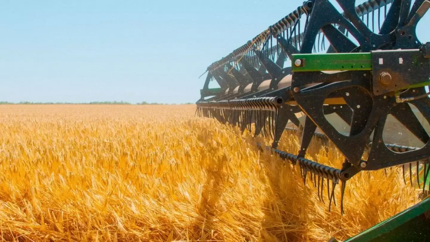 Из-за обильных осадков в Казахстане будет хороший урожай пшеницы – американские эксперты
