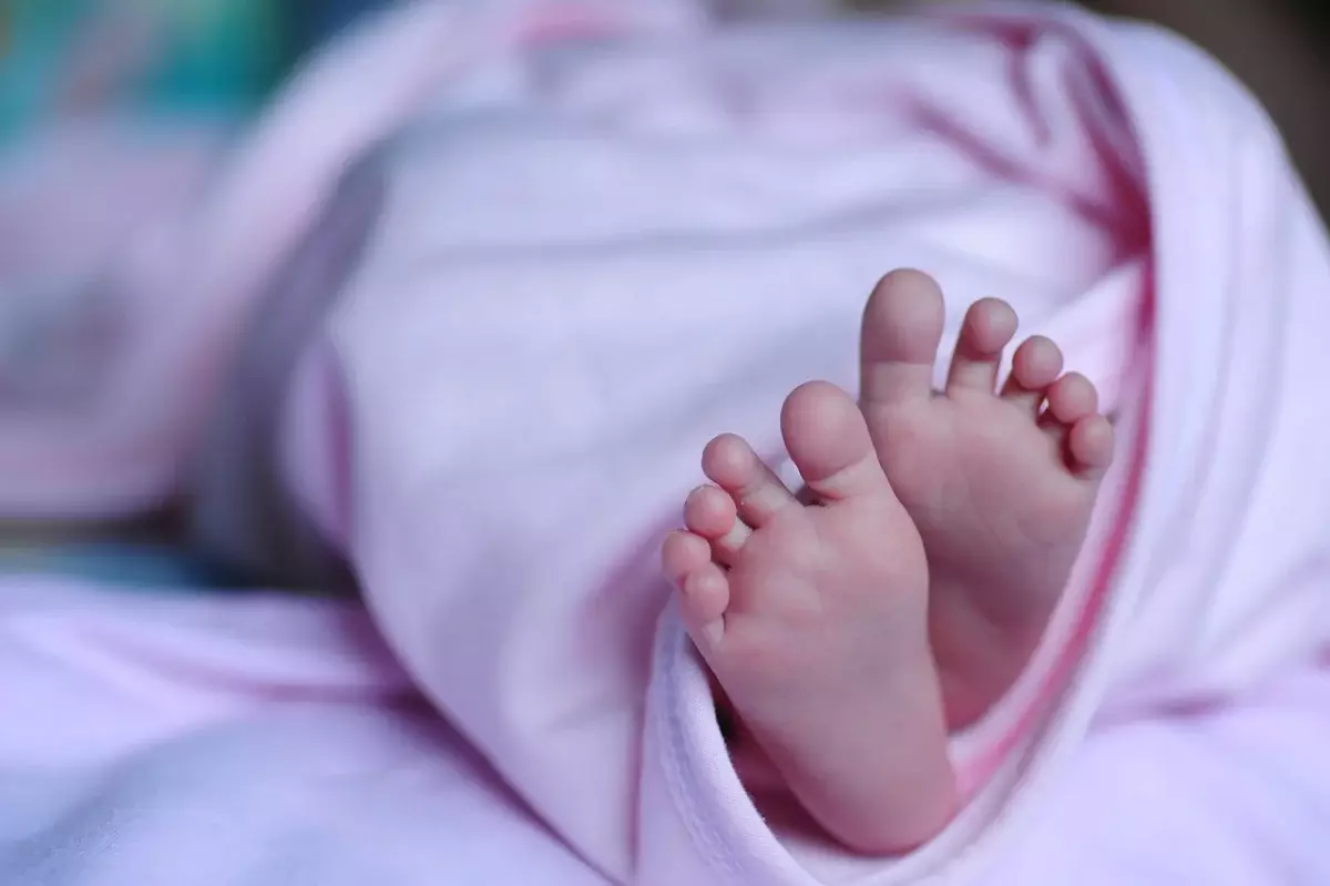 Тело недоношенного ребенка в коробке оставили в роддоме Шымкента