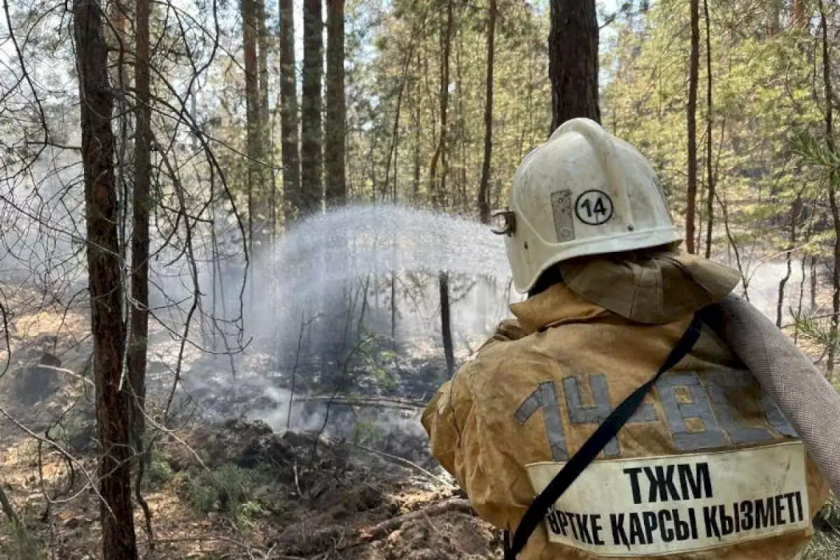 Системы раннего обнаружения лесных пожаров установят в Карагандинской области