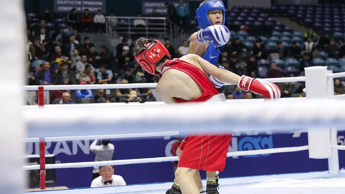 Казахстанские боксеры получили хорошие новости от WBC после побед