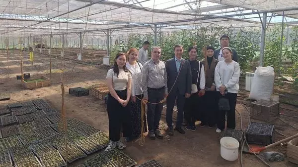 Казахстанские студенты изучают методы выращивания томатов в Казахстане
