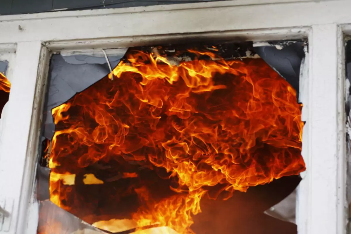Крупный пожар произошел в хлебобулочном цеху в Шымкенте (ВИДЕО)