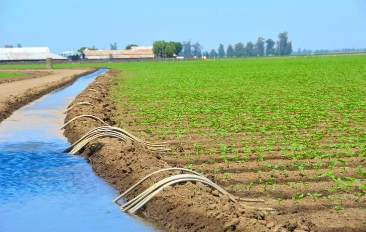 922 млн кубометров воды пообещал поставить Узбекистан в поливной сезон Казахстану