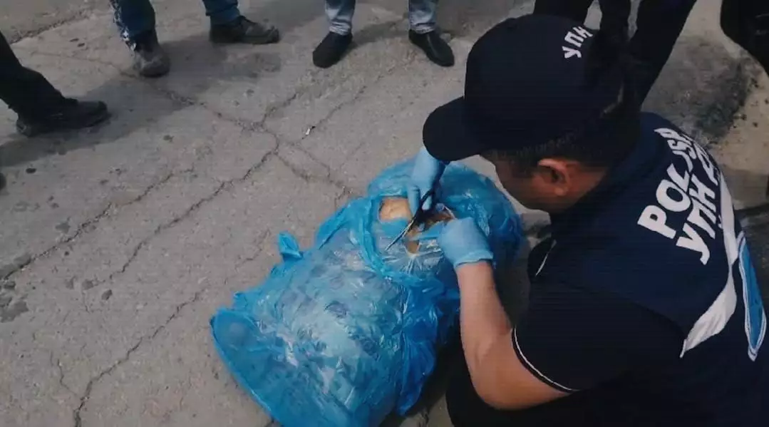 Два канала поставки марихуаны в регионы Казахстана ликвидировано полицией