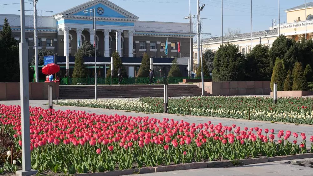 Мэр Бишкека ввел необычный запрет для подчиненных по вторникам и четвергам