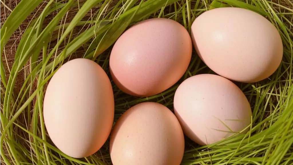 В Туркестанской области появится завод по производству 200 млн яиц в год