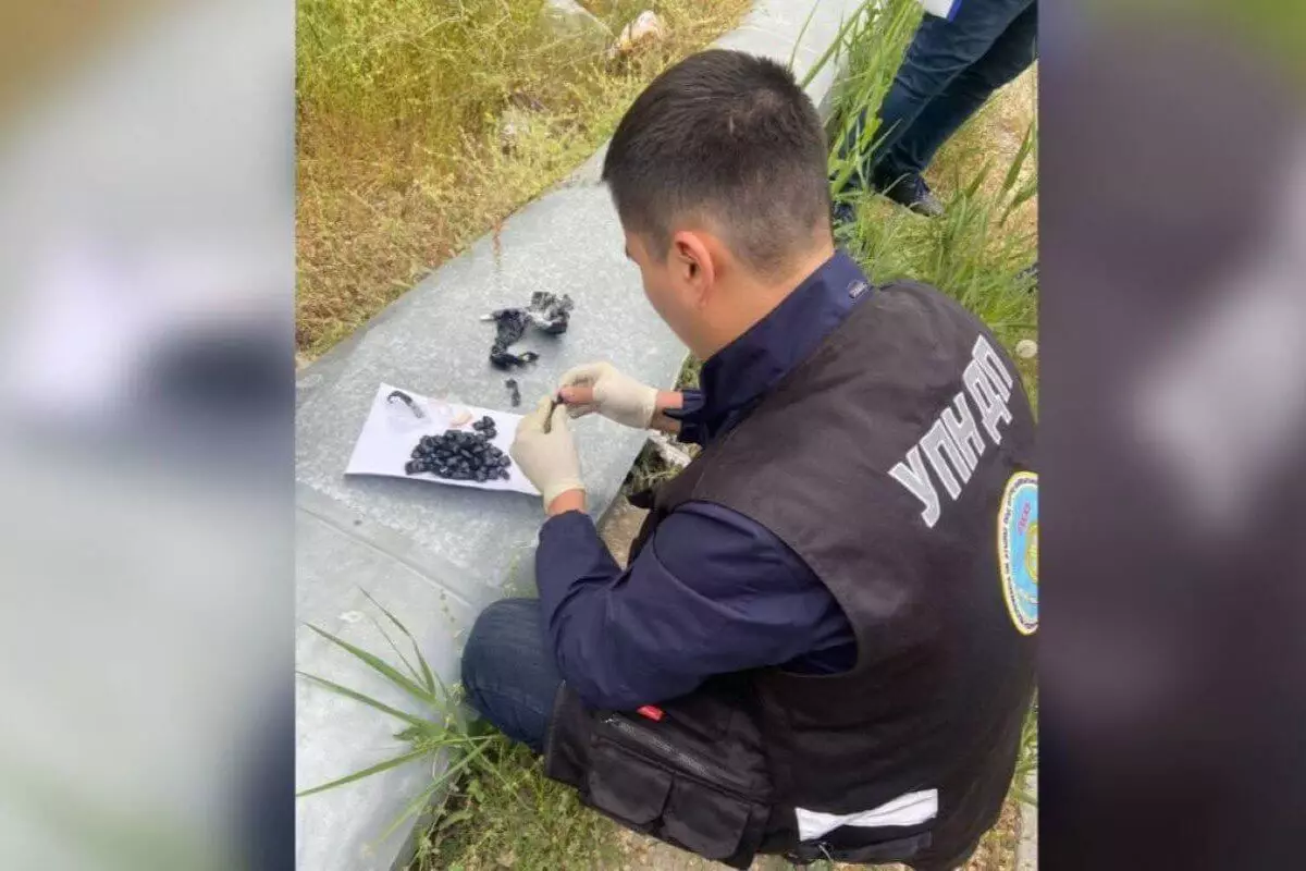 Наркокурьеры из Тараза собирались сбыть больше килограмма «синтетики» в Атырау