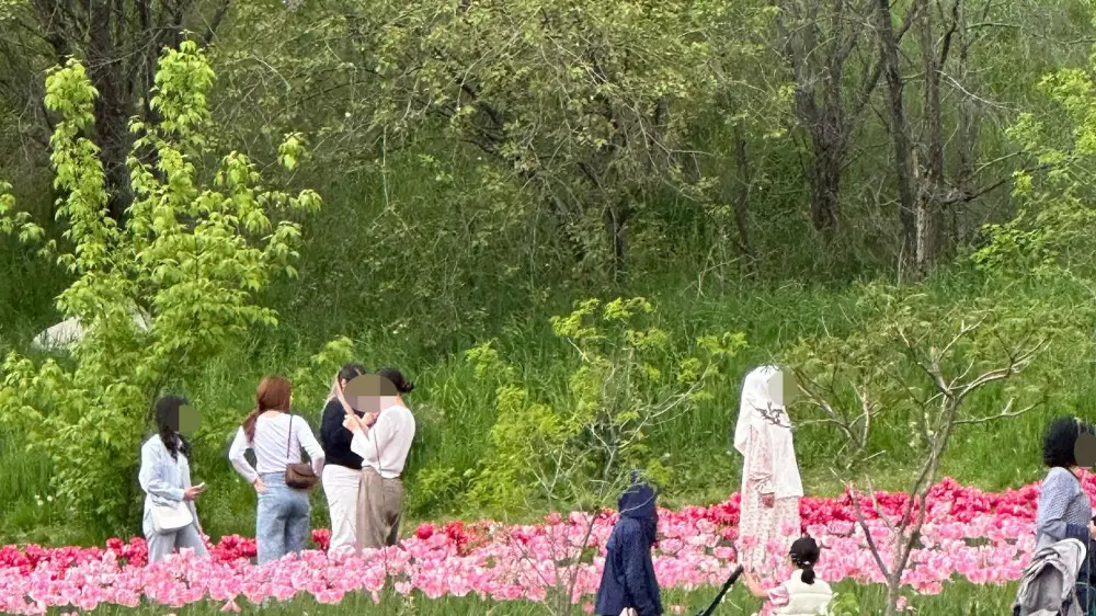 Алматинцев могут оштрафовать за селфи на клумбах с цветами на 73 тысячи тенге