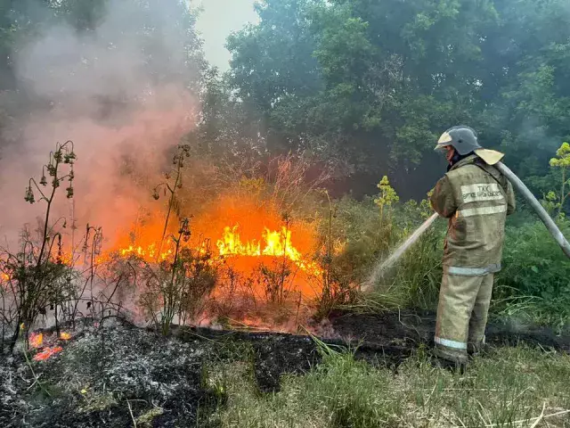 В Казахстане с начала года зарегистрировано 27 лесных и 122 степных пожаров  
