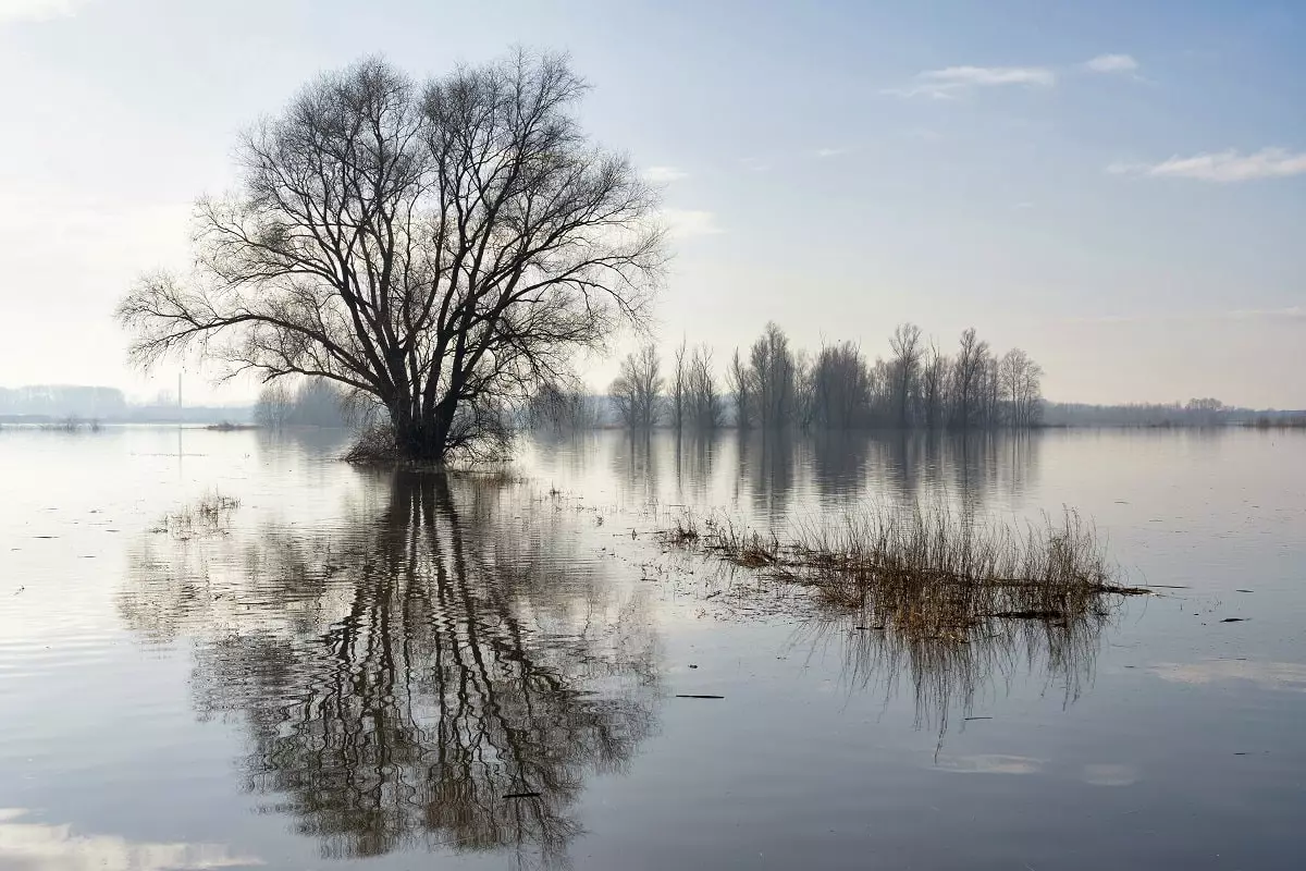 Уровень воды в реке Жайык превысил критическую отметку в Атырау