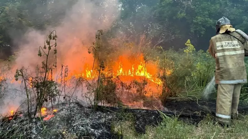 Лето будет жарким: в Казахстане уже произошло 27 лесных пожаров