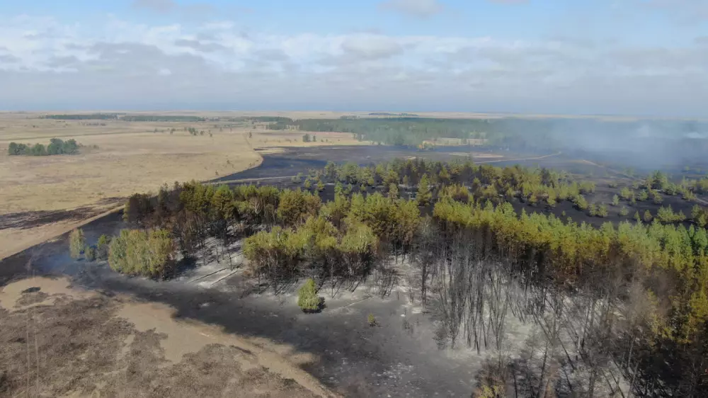 В правительстве назвали регионы, которые могут столкнуться с проблемами при тушении лесных пожаров