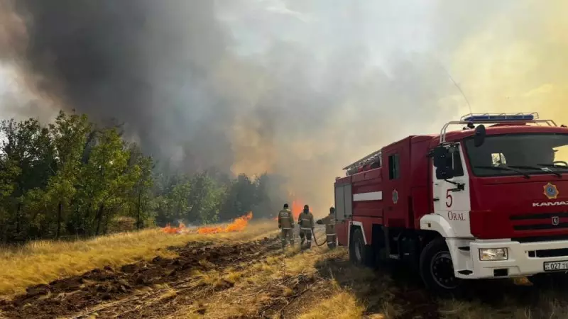 Более 70% пожарных машин в лесных хозяйствах Казахстана подлежат списанию