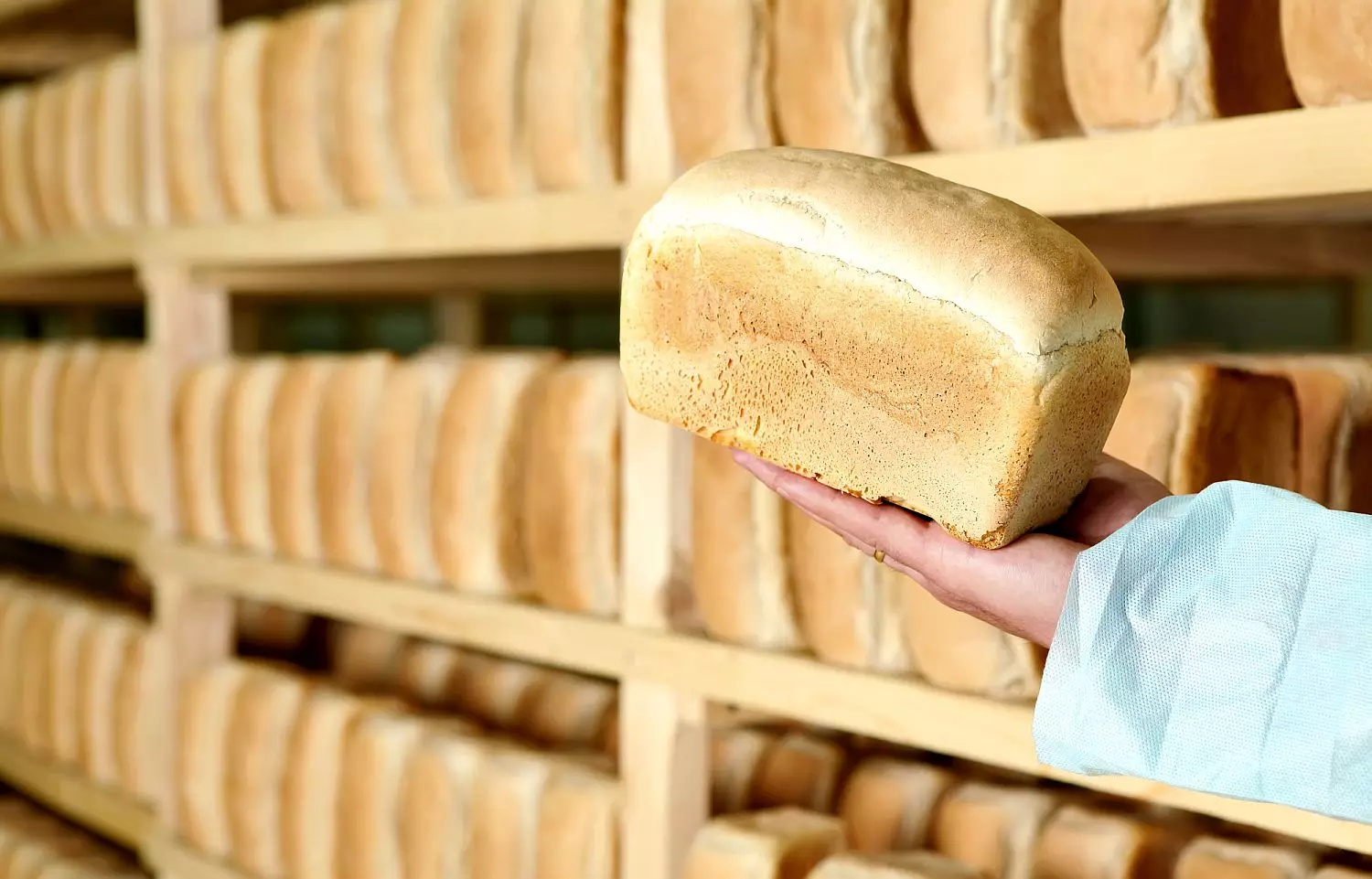 Депутат предлагает в разы повысить цену на хлеб: решит ли это проблемы производителей