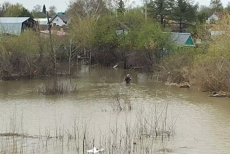 Жители затопленных дачных участков Петропавловска просят помощи