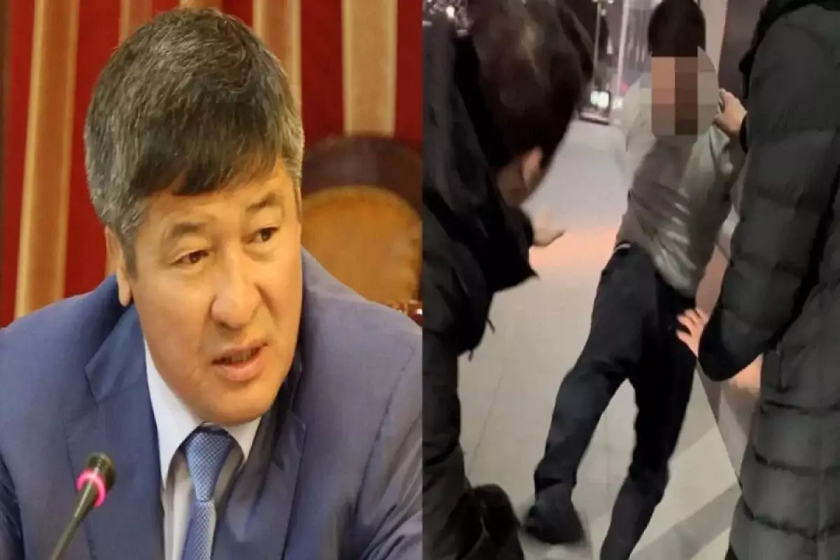 Сыну депутата Турлыханова изменили приговор за избиение семьи юристов