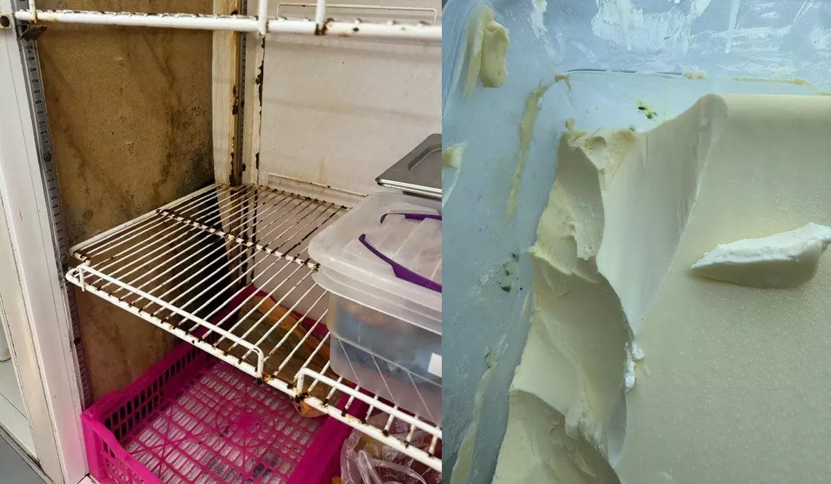 В заплесневелом холодильнике хранят продукты в столовой школы Тараза (ВИДЕО)