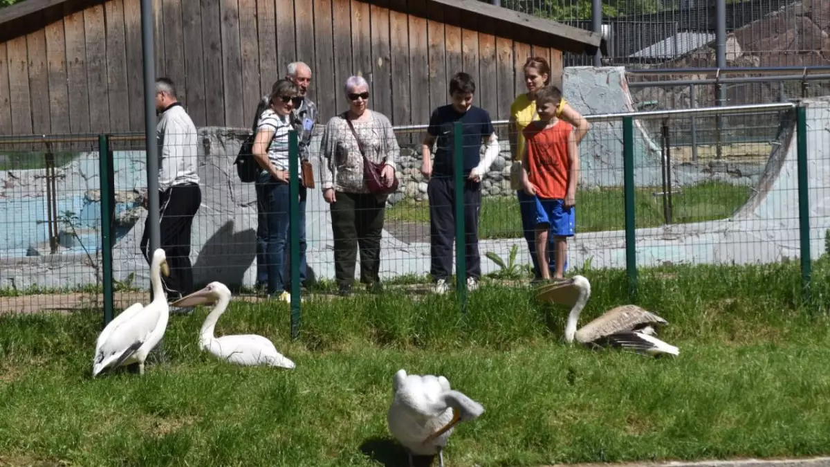 «Фантастические твари и где они обитают»: в Алматинском зоопарке принимают в летнюю школу