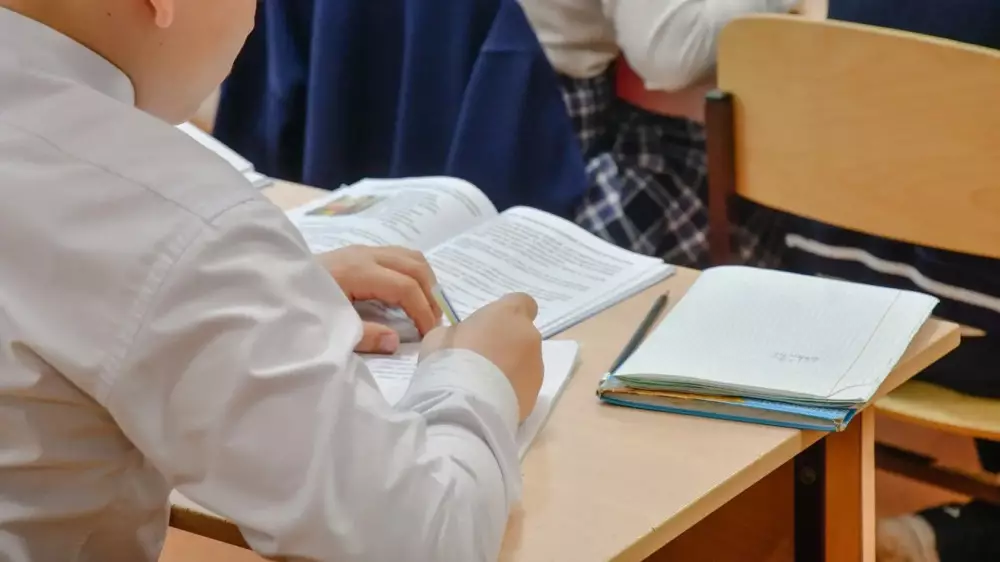 Более 20 начальных школ могут закрыть в области Жетысу