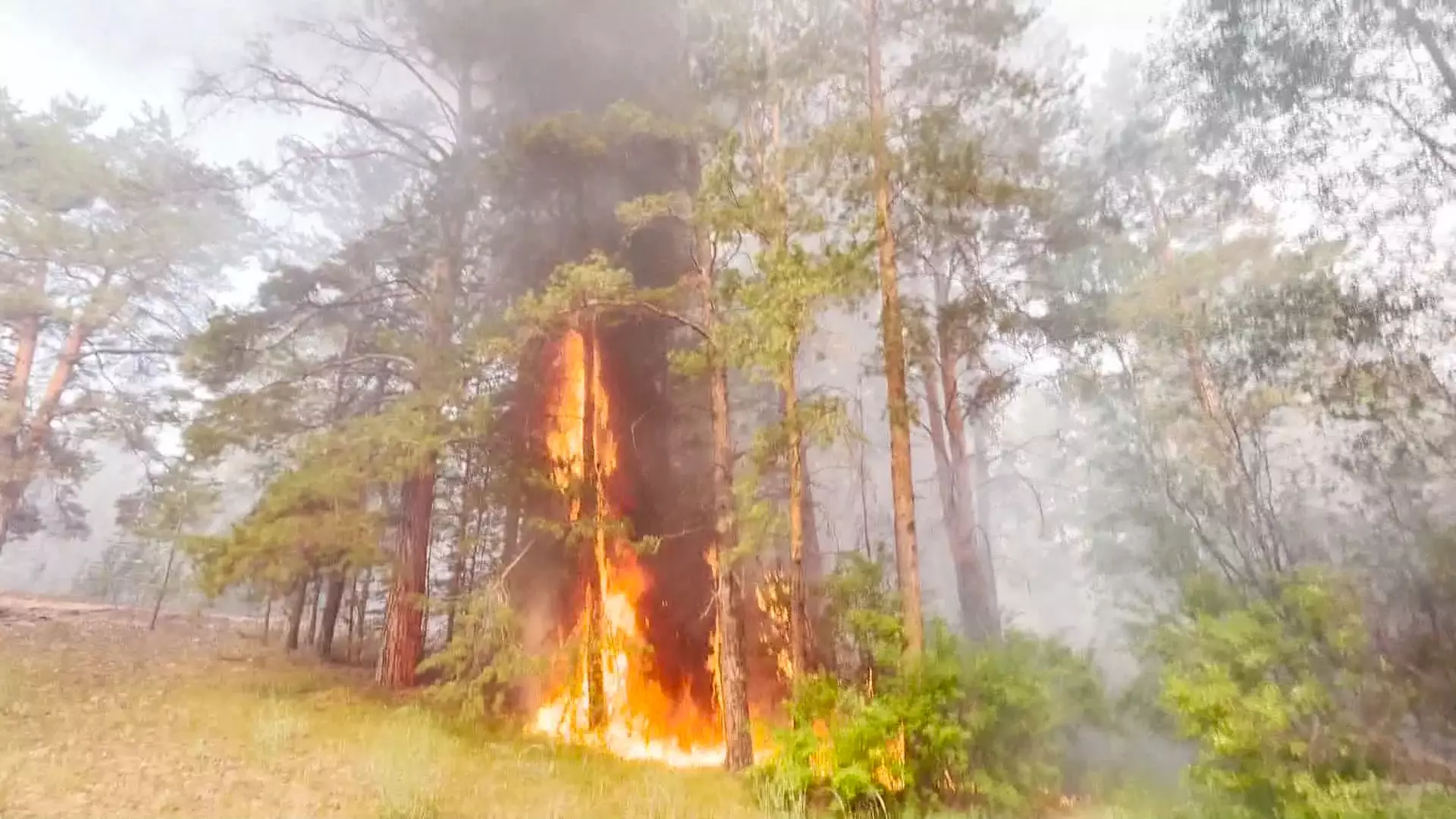 72% пожарных машин в лесных хозяйствах Казахстана подлежат списанию,- Е. Нысанбаев
