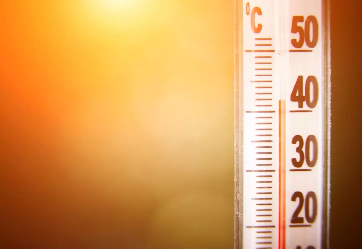 Лето 2023 года назвали самым жарким за последние 2000 лет