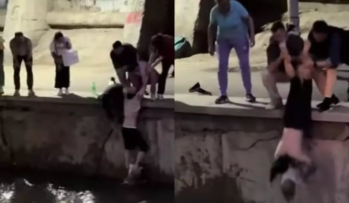 Толпа прохожих спасла тонущую собаку в реке Алматы (ВИДЕО)