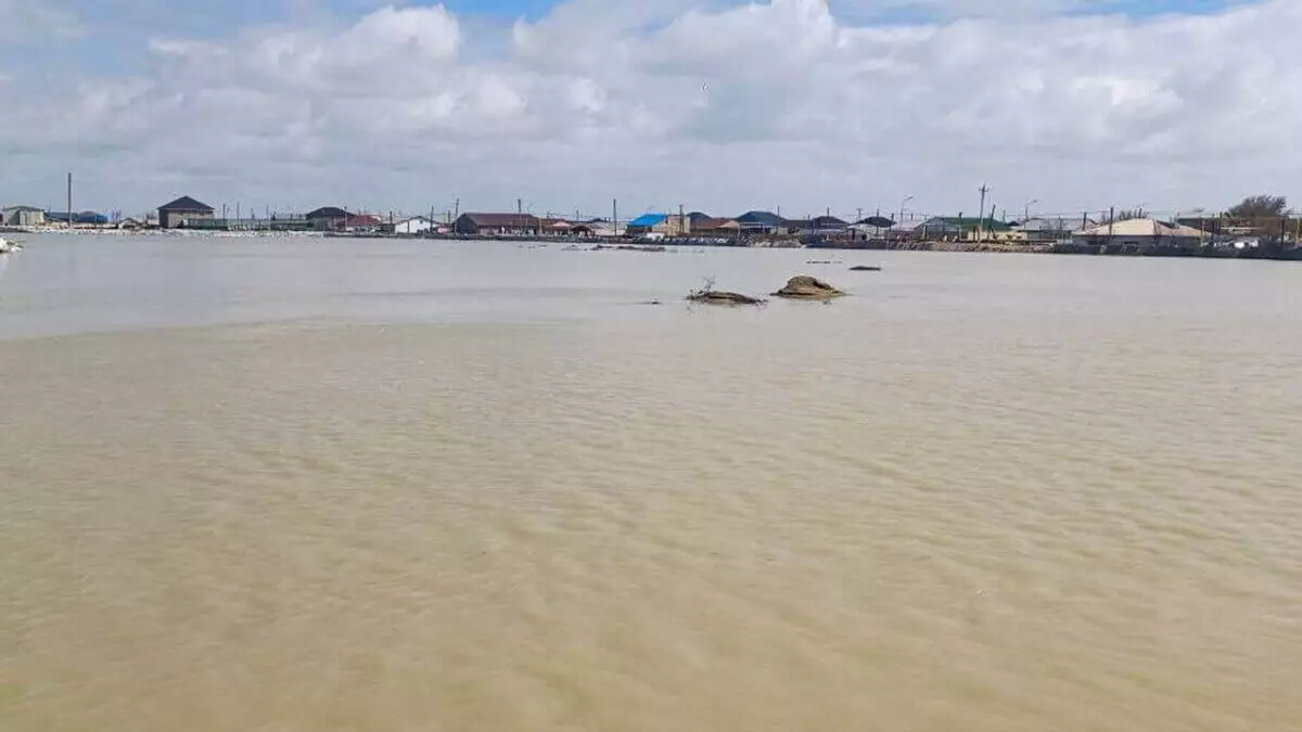 Уровень воды в реке Жайык продолжает подниматься в Атырауской области