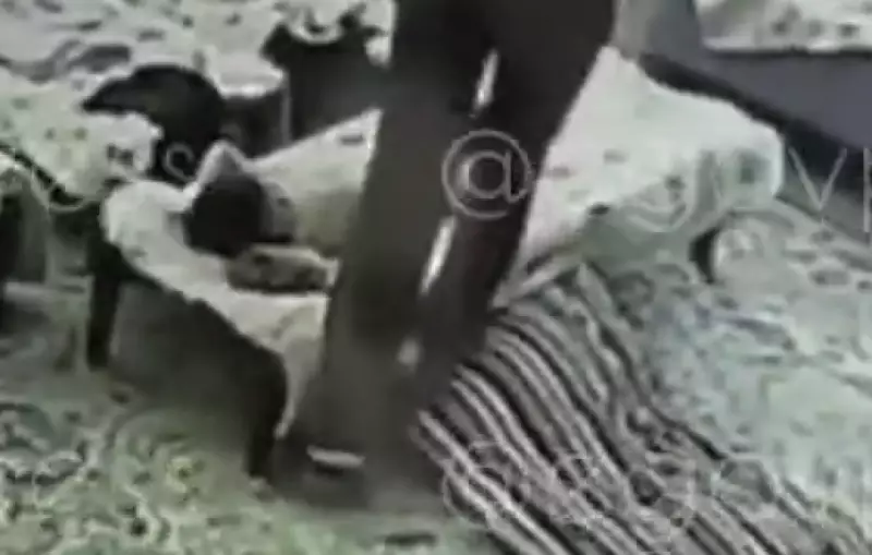 Видео шокировало Казнет: в Жетысу воспитатели избивали детей в садике