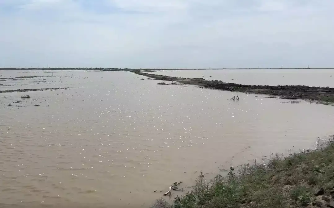 Паводки: уровень воды в реке Жайык в Атырауской области продолжает повышаться