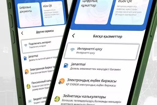 Подключение интернета с помощью eGov запустили в Казахстане