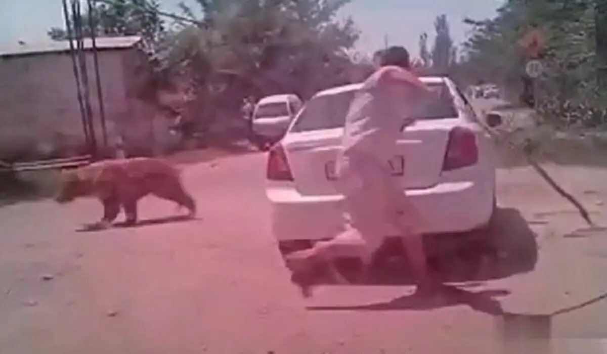 Медведь напал полицейского и угрожал ученикам школы (ВИДЕО)