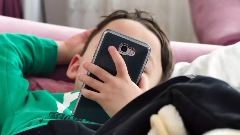 TikTok для казахстанских детей: как обезопасить соцсеть