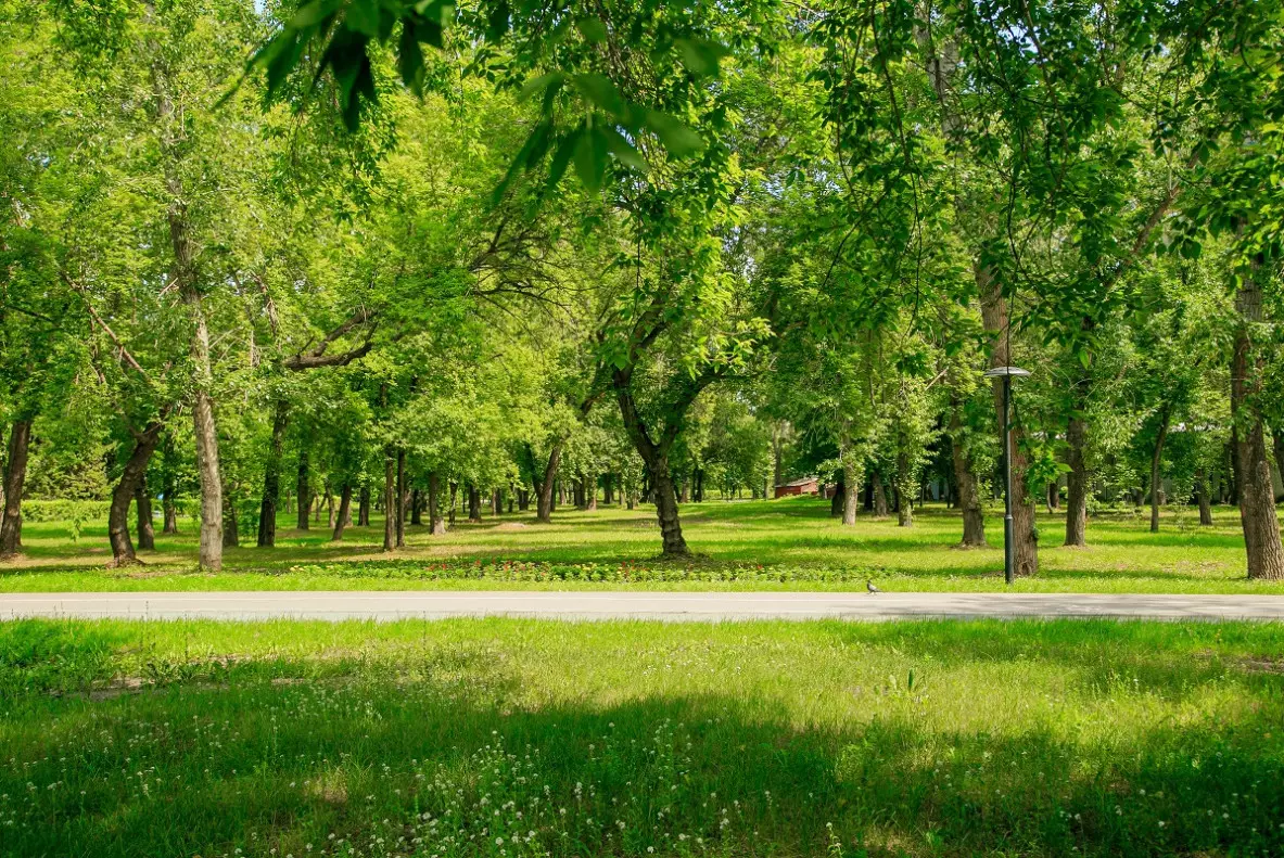 Прокуроры Алматы вернули земли природного парка "Медеу"