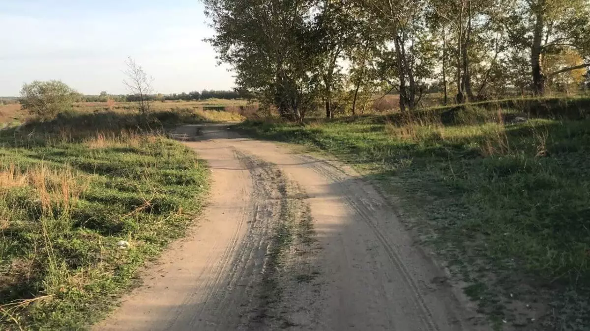 Земельные участки на границе Казахстана незаконно сдавали в субаренду