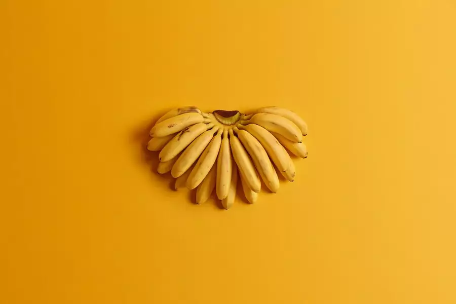 Түркістан облысында банан пісті