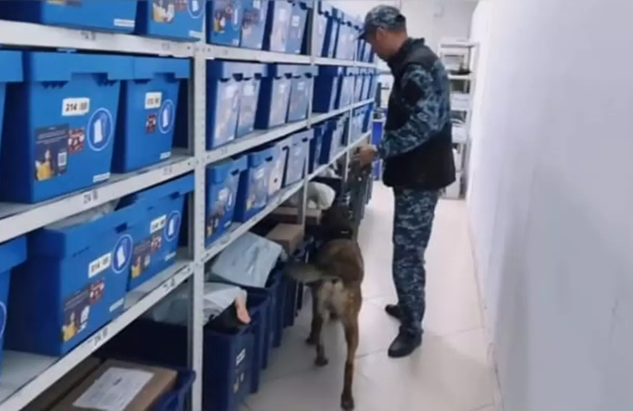 Кинологи со служебными собаками из полиции Мангистау проверили посылки на контрабанду