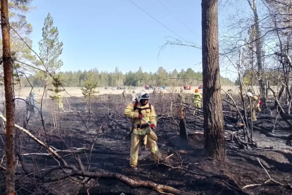 Борьба с лесными пожарами: нужно еще больше госсредств на обновление техники и оборудования