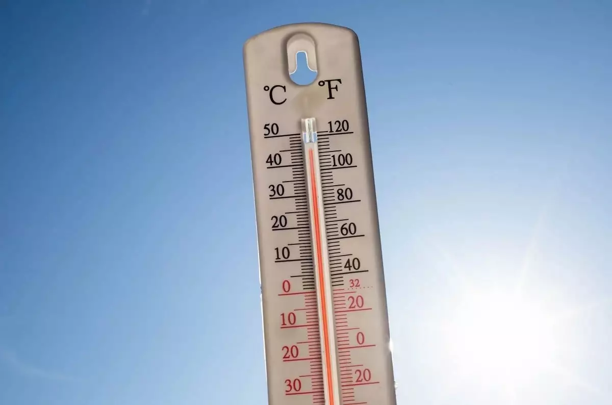 Аномальное лето-2024: какие регионы в мире пострадают от адской жары